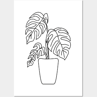 Gatenplant Philodendron Monstera Deliciosa Lines Posters and Art